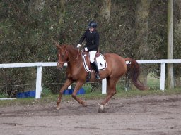 IMG_7855_web